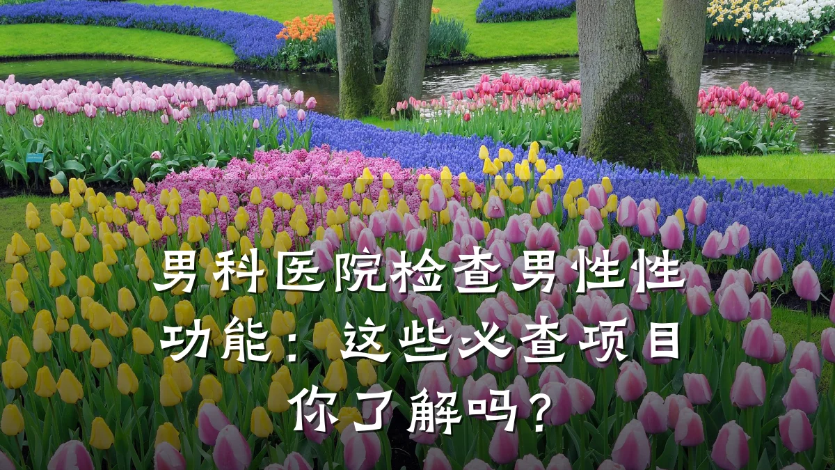 男科医院检查男性性功能：这些必查项目你了解吗？