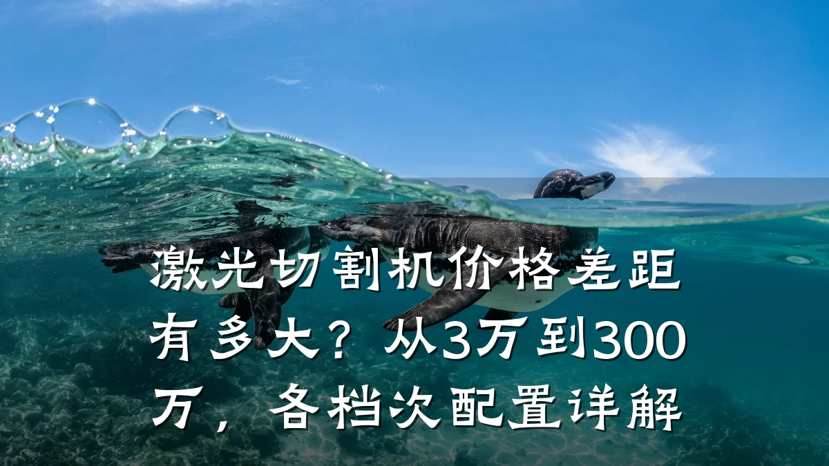 激光切割机价格差距有多大?从3万到300万,各档次配置详解