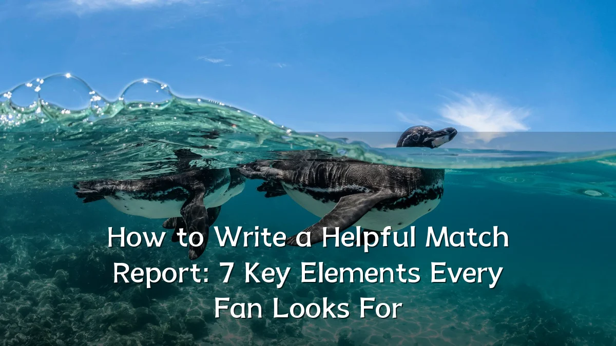 How to Write a Helpful Match Report: 7 Key Elements Every Fan Looks For