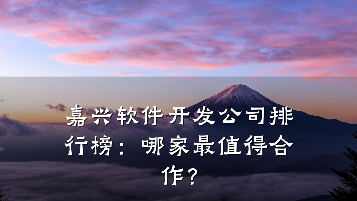 嘉兴软件开发公司排行榜：哪家最值得合作？