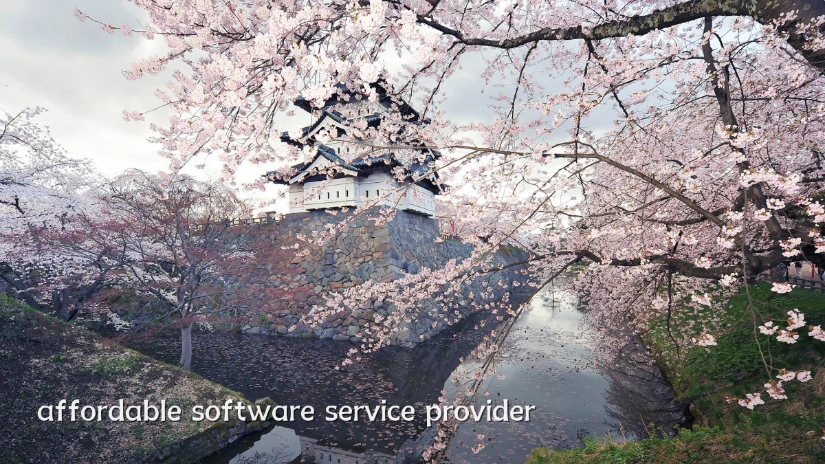 affordable software service provider