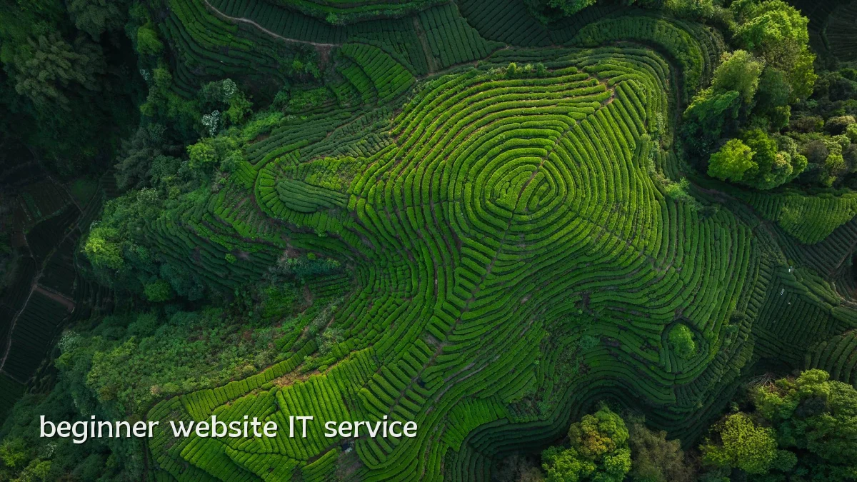 beginner website IT service