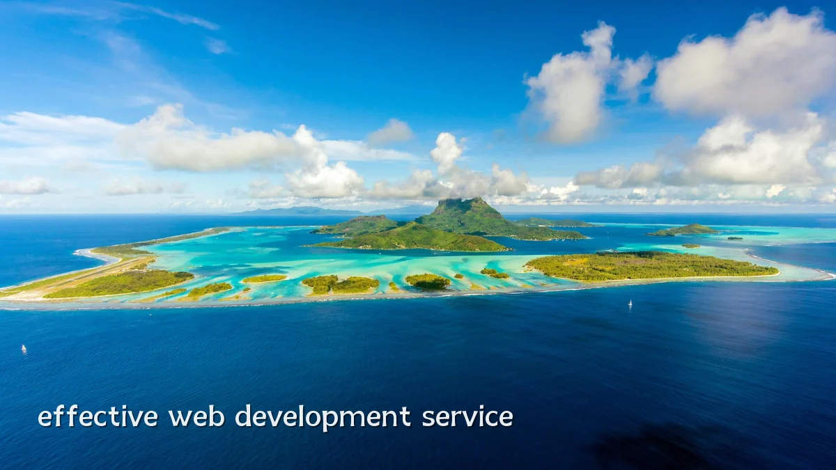 effective web development service
