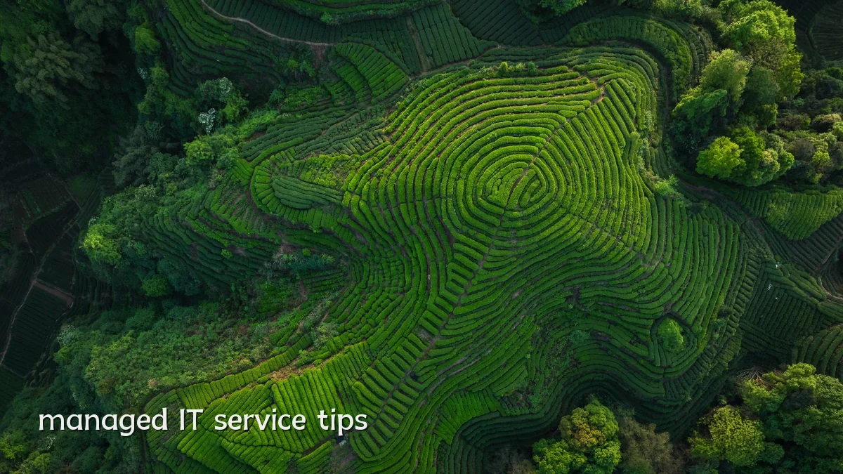 managed IT service tips