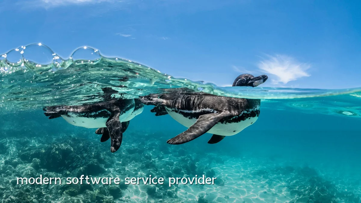 modern software service provider