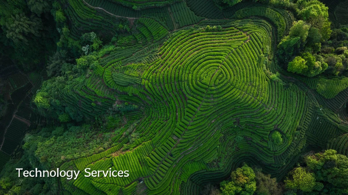 Technology Services
