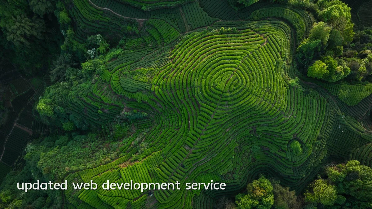 updated web development service