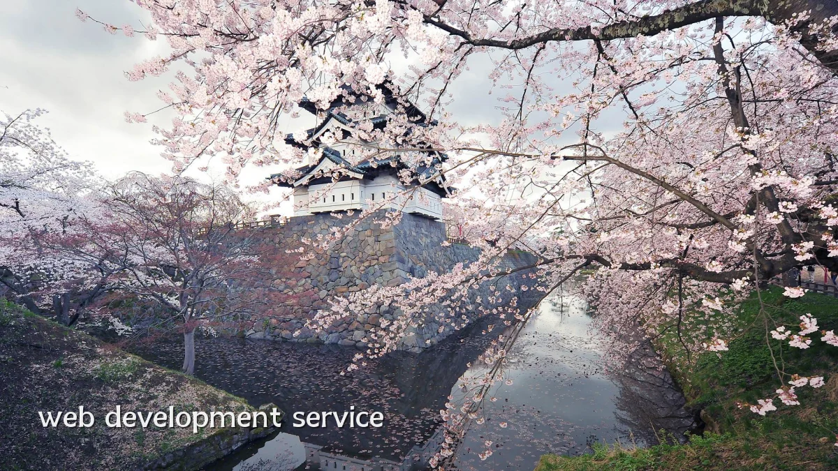 web development service