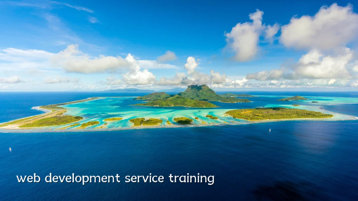 web development service training
