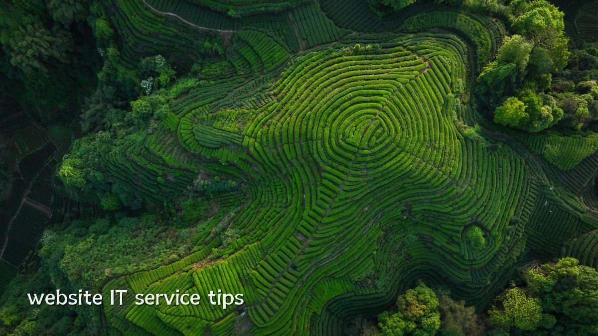 website IT service tips