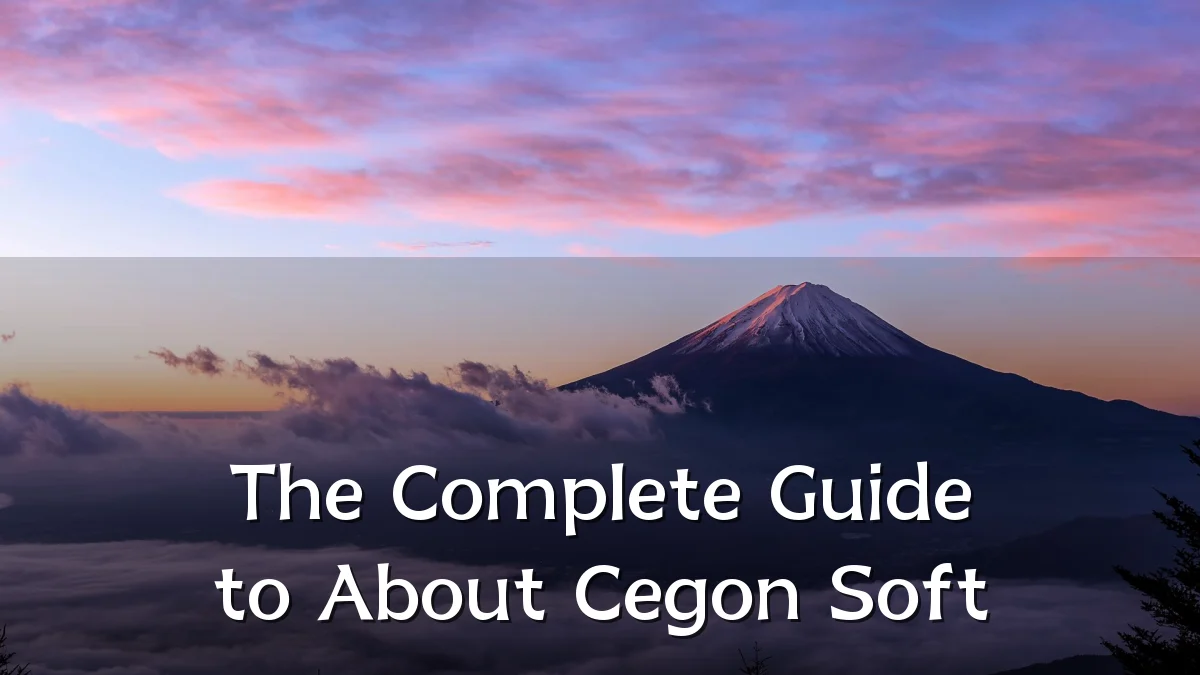 The Complete Guide to About Cegon Soft