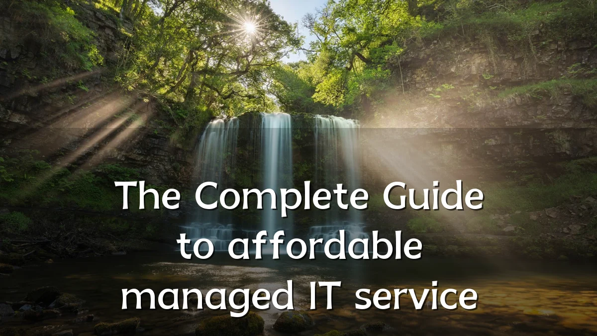 The Complete Guide to affordable managed IT service