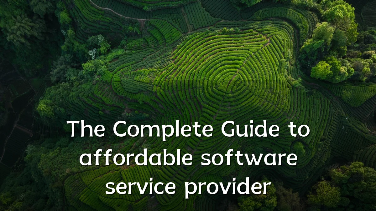 The Complete Guide to affordable software service provider