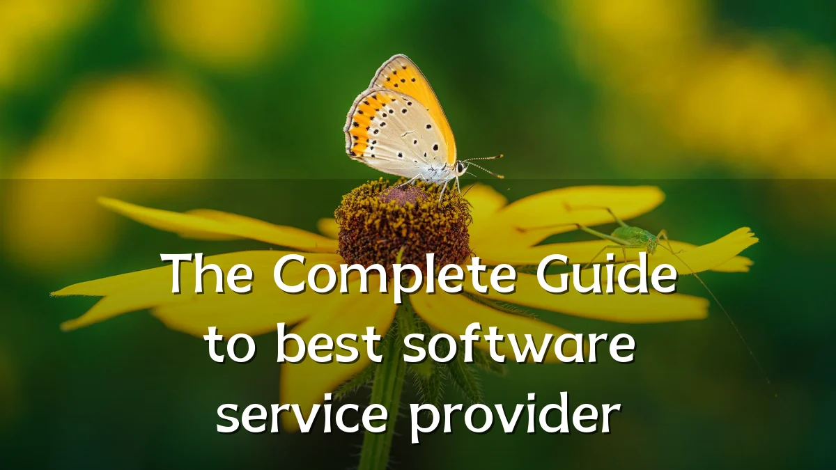 The Complete Guide to best software service provider