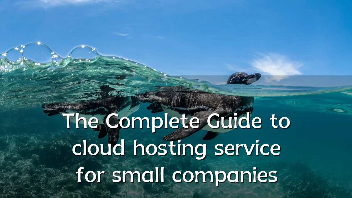 The Complete Guide to cloud hosting service for small companies