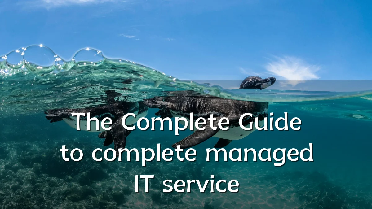 The Complete Guide to complete managed IT service
