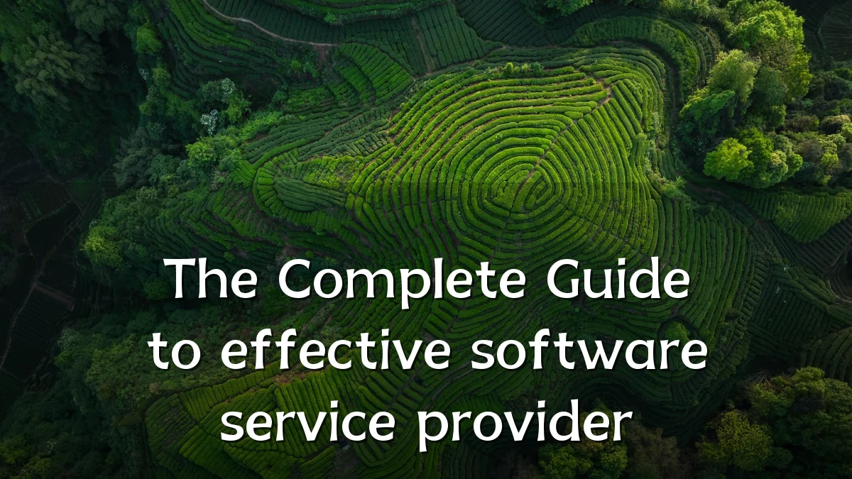 The Complete Guide to effective software service provider