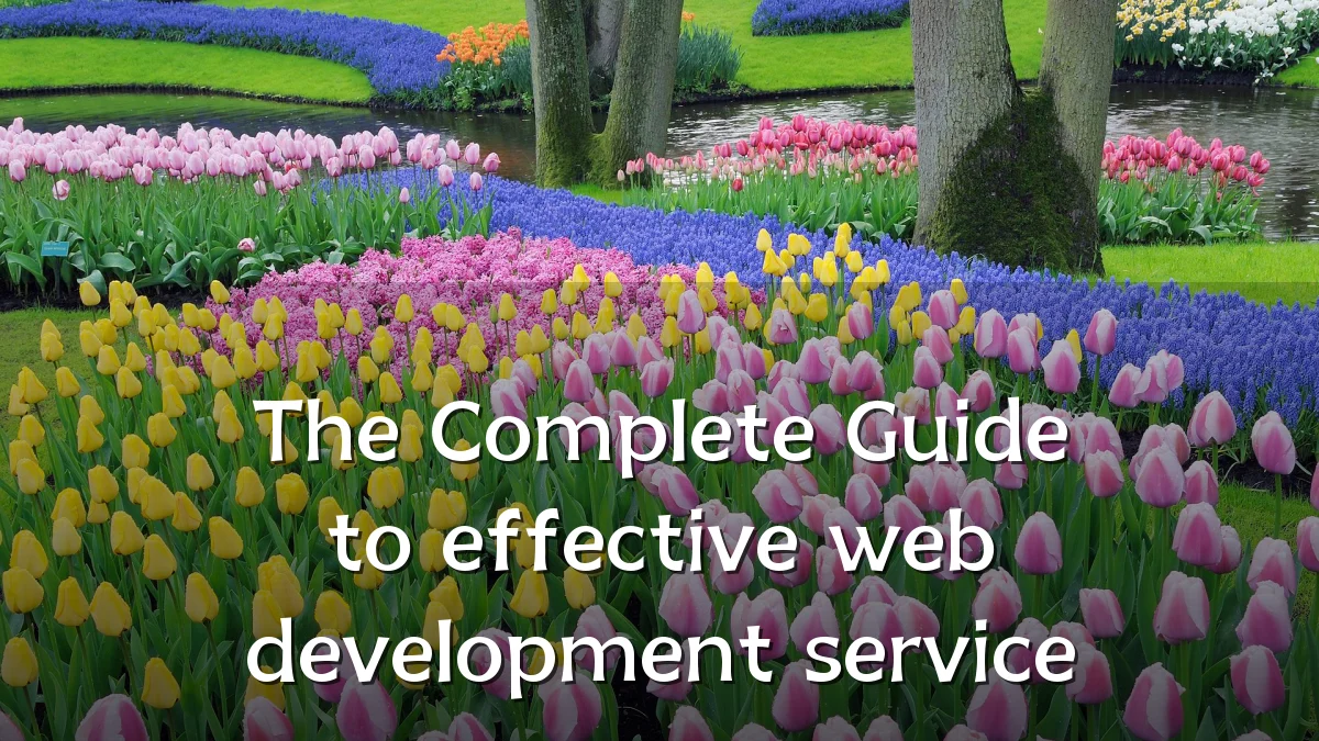 The Complete Guide to effective web development service
