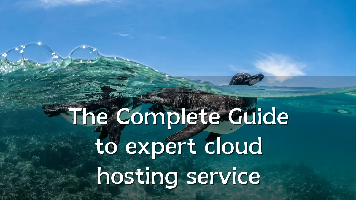 The Complete Guide to expert cloud hosting service