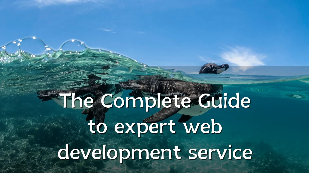 The Complete Guide to expert web development service