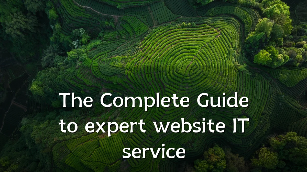 The Complete Guide to expert website IT service