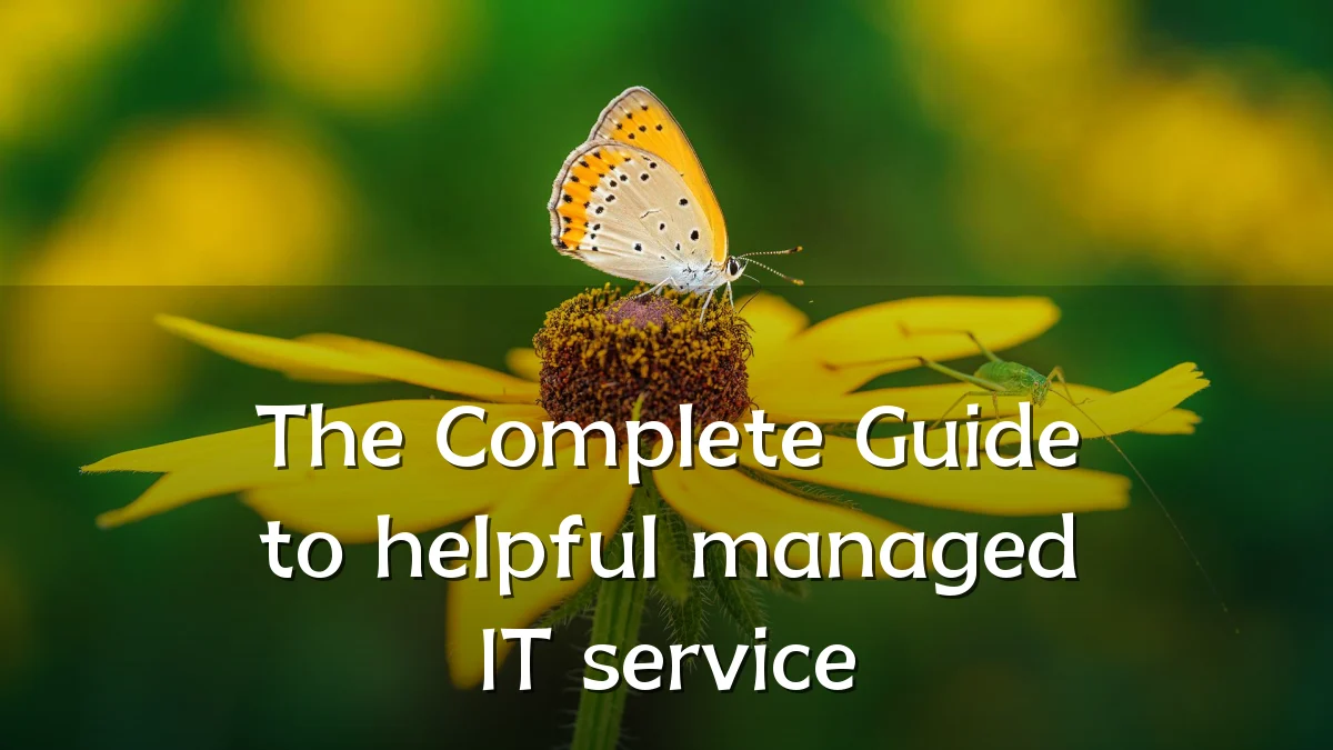 The Complete Guide to helpful managed IT service
