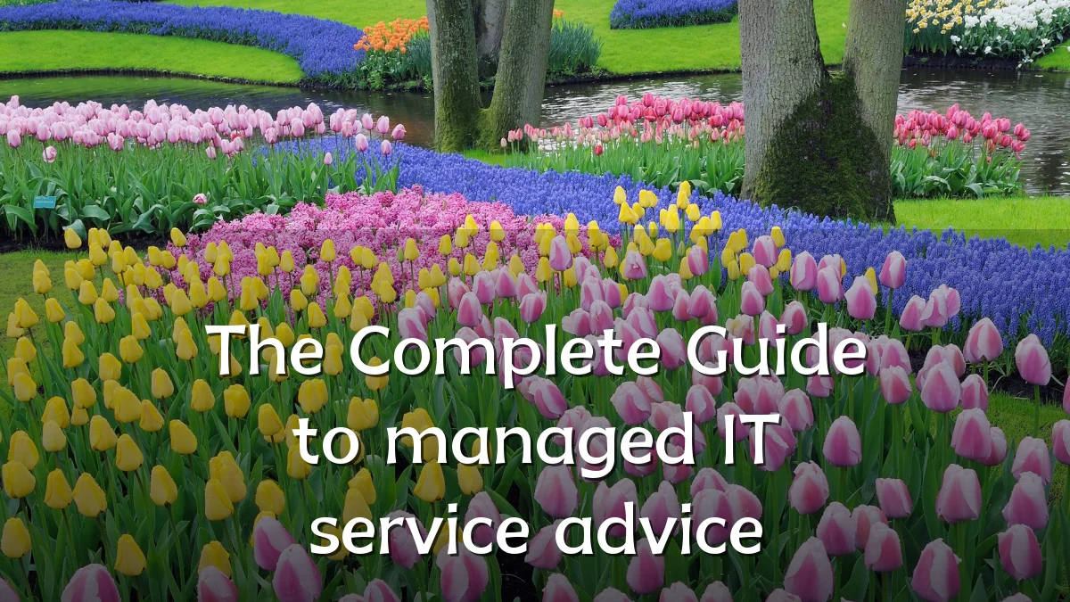The Complete Guide to managed IT service advice