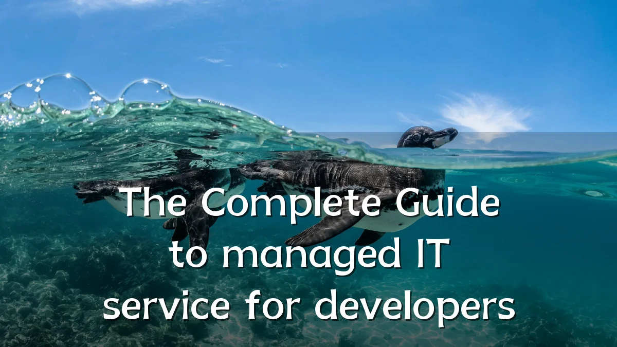 The Complete Guide to managed IT service for developers
