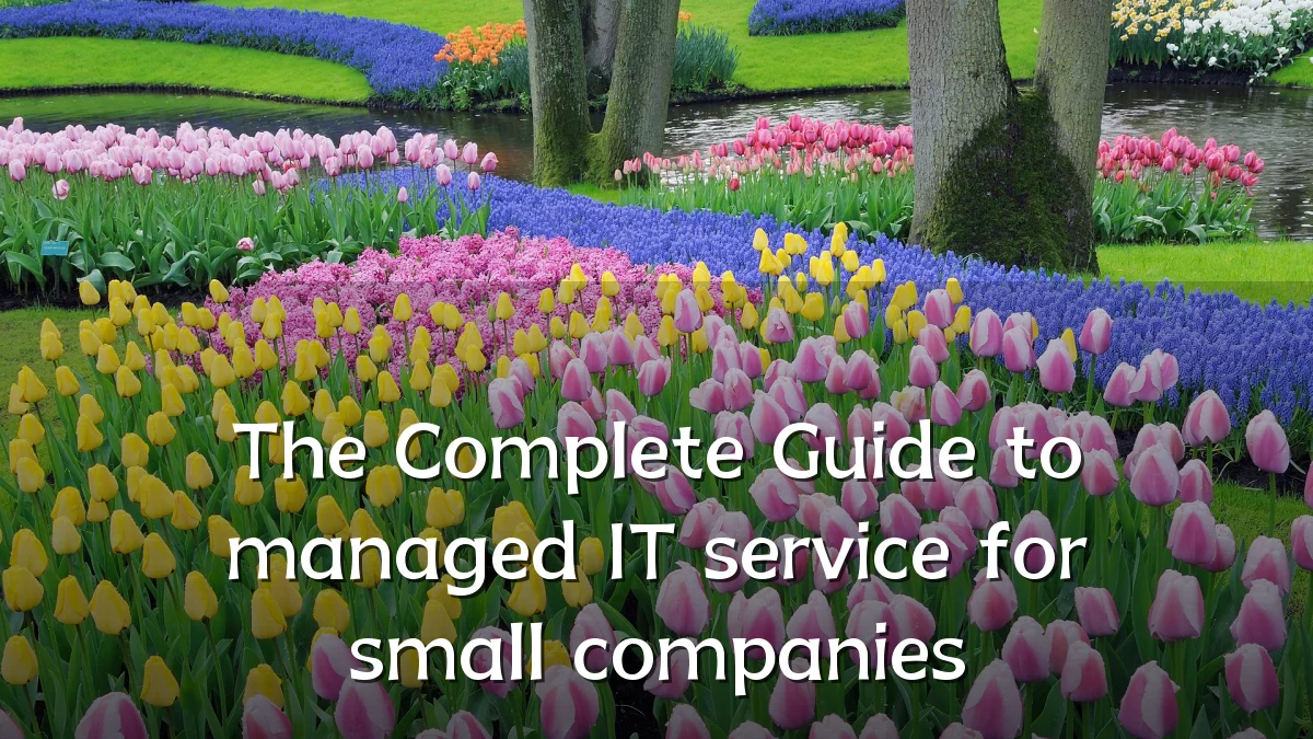 The Complete Guide to managed IT service for small companies