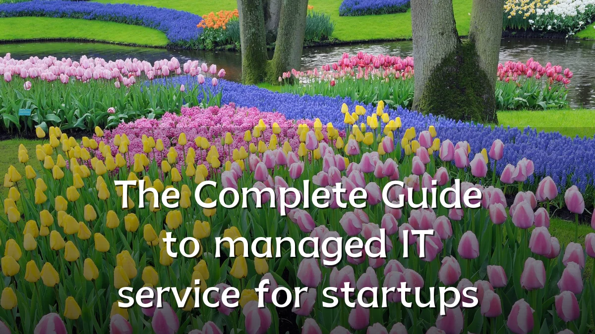 The Complete Guide to managed IT service for startups