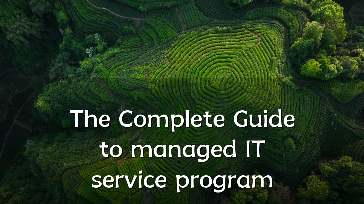 The Complete Guide to managed IT service program