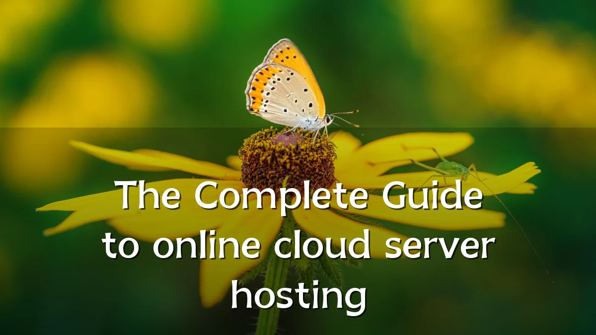 The Complete Guide to online cloud server hosting