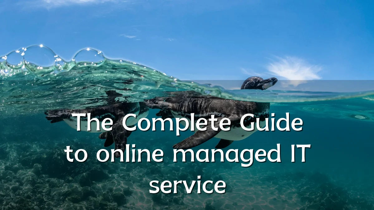 The Complete Guide to online managed IT service