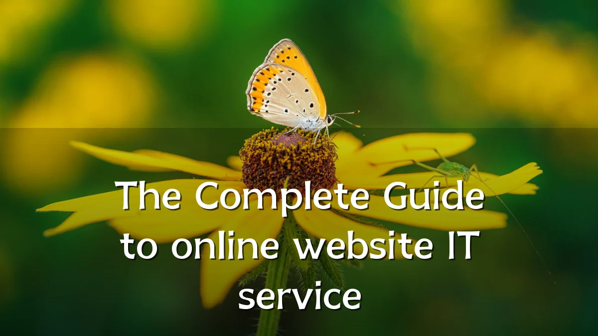 The Complete Guide to online website IT service