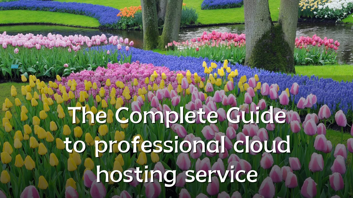 The Complete Guide to professional cloud hosting service