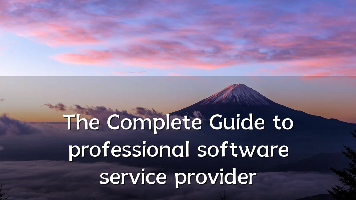 The Complete Guide to professional software service provider