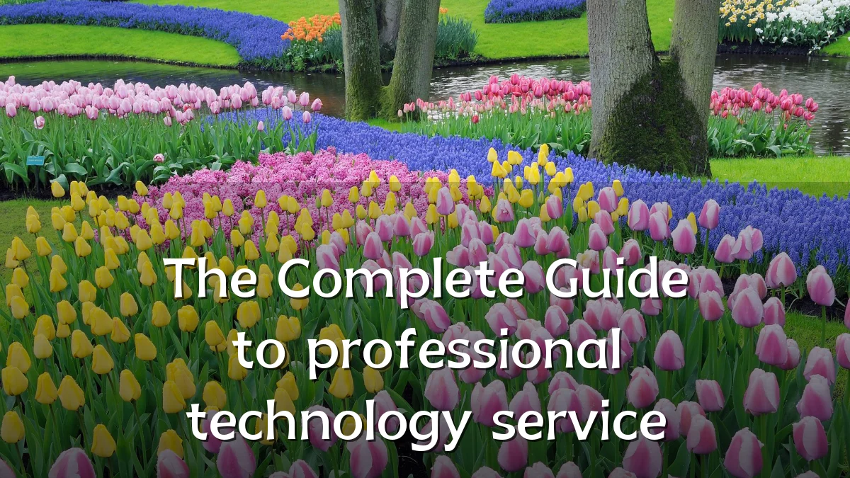 The Complete Guide to professional technology service