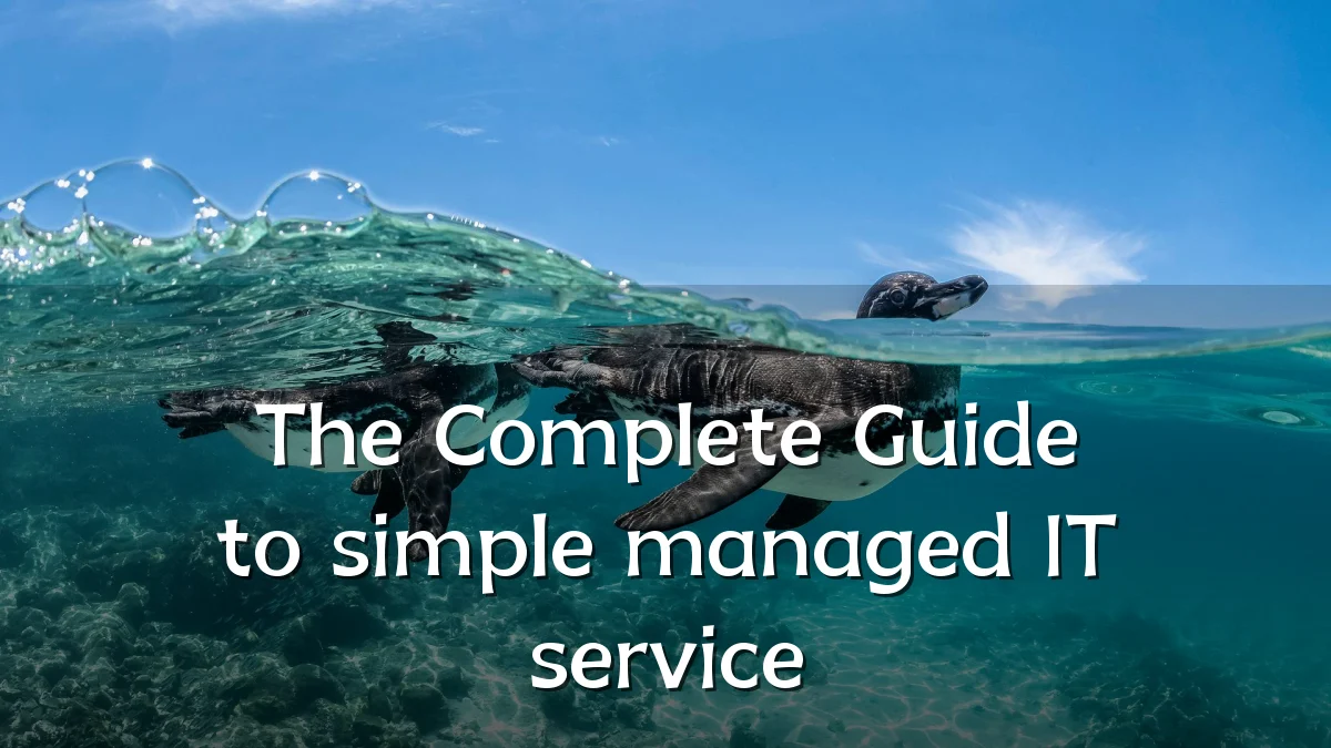 The Complete Guide to simple managed IT service