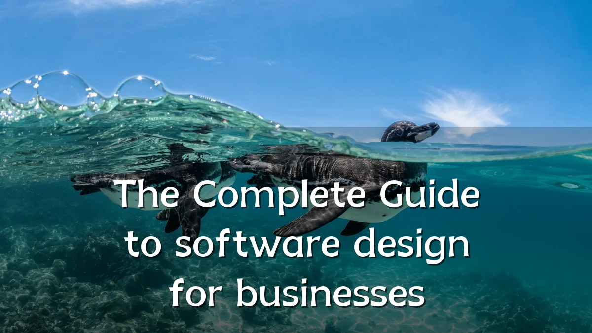 The Complete Guide to software design for businesses