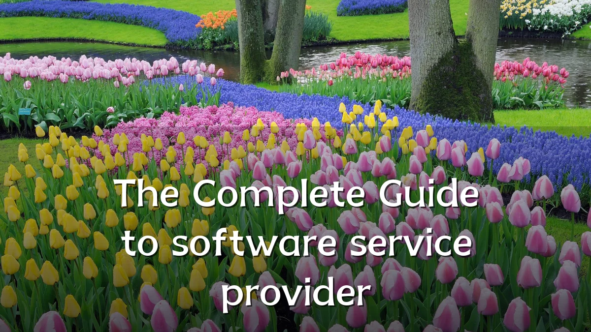 The Complete Guide to software service provider