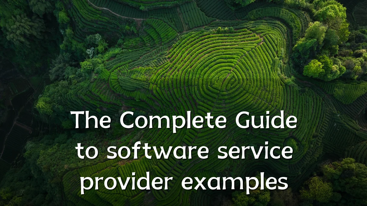 The Complete Guide to software service provider examples