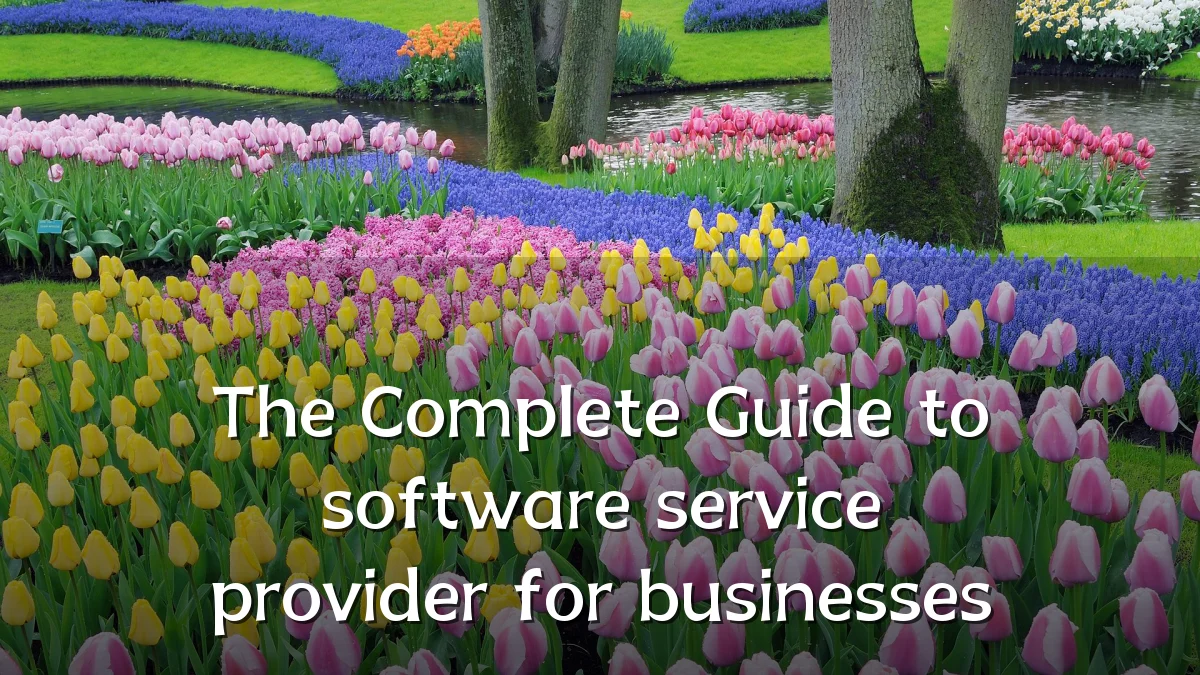 The Complete Guide to software service provider for businesses