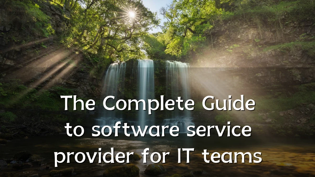 The Complete Guide to software service provider for IT teams