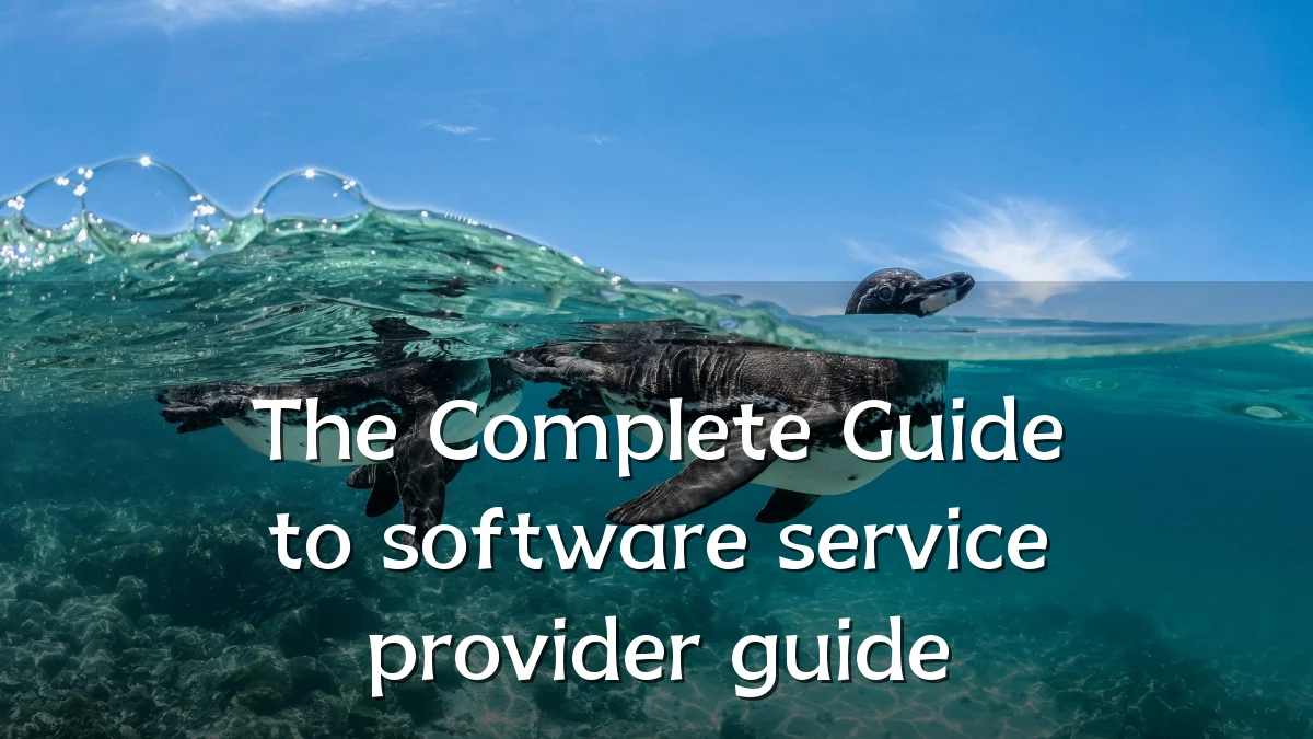 The Complete Guide to software service provider guide