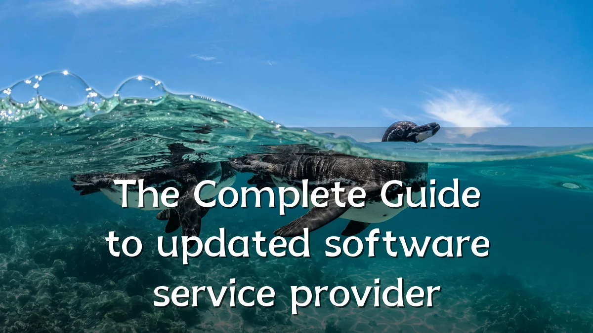 The Complete Guide to updated software service provider
