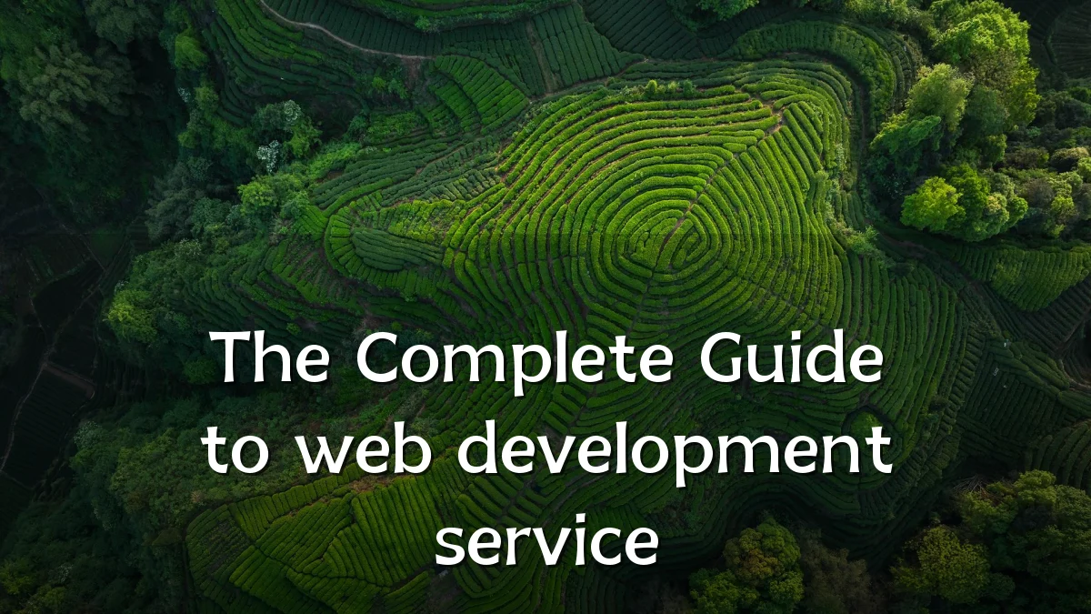The Complete Guide to web development service