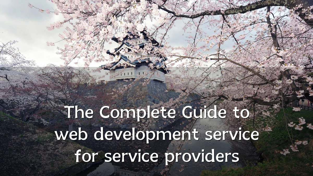The Complete Guide to web development service for service providers