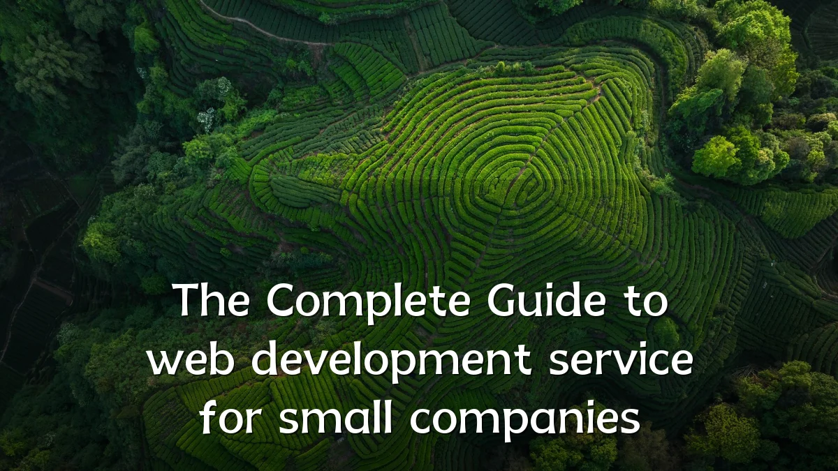 The Complete Guide to web development service for small companies