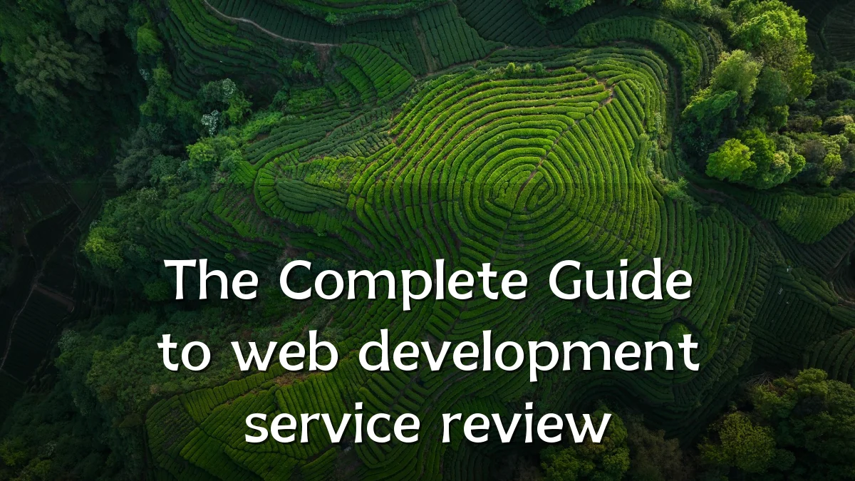 The Complete Guide to web development service review