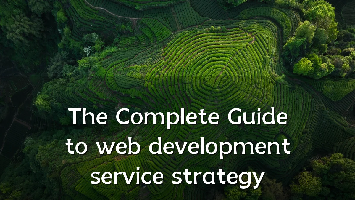 The Complete Guide to web development service strategy
